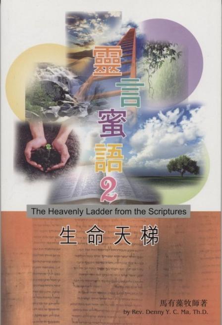 靈言蜜語2：生命天梯 book cover