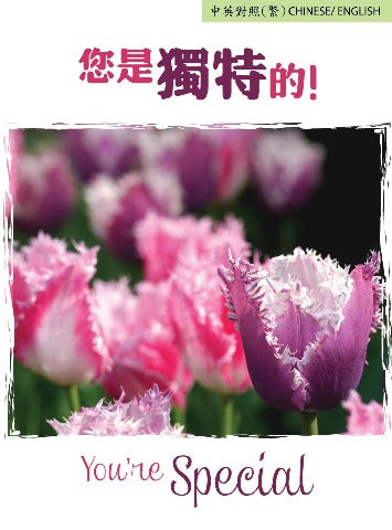 福音單張/Tract-您是獨特的 You’re Special (中英對照繁體版/ Traditional Chinese-English) cover